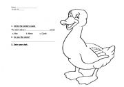 English worksheet: Animals