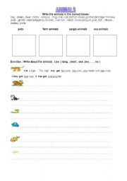 English worksheet: animals -3