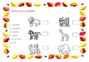 English Worksheet: Wild Animals