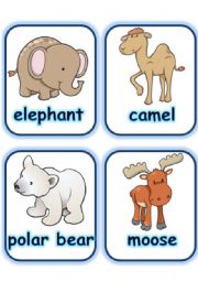 English Worksheet:  FLASHCARD SET 3- WILD ANIMALS - PART 3