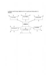 English Worksheet: A SPRING NETWORK