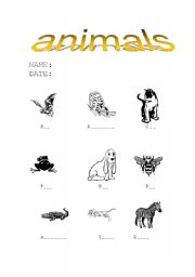 ANIMALS