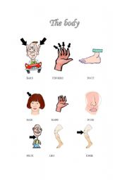 English worksheet: the body