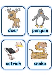 English Worksheet:  FLASHCARD SET 4- OTHER ANIMALS - PART 3 OF 5 (29.07.2008)