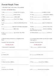 English Worksheet: Present Simple Tense - test