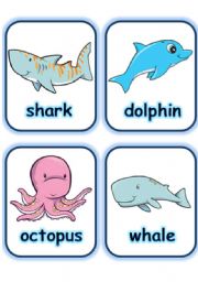  FLASHCARD SET 5- SEA ANIMALS AND CREATURES - PART 2 OF 3 (30.07.2008)