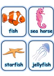  FLASHCARD SET 5- SEA ANIMALS AND CREATURES - PART 3 OF 3 (30.07.2008)