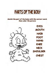 English Worksheet: PARTS OF THE BODY