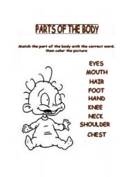 English worksheet: PARTS OF THE BODY