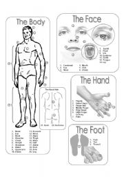 English Worksheet: The Body Picture Dictionary - Greyscale 30.07.08