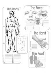 English Worksheet: The Body Fill in the Blanks - Greyscale 30.07.08