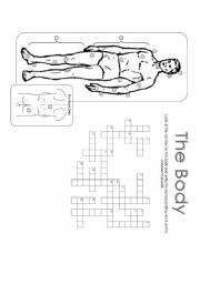 English Worksheet: The Body Crossword Puzzle - Greyscale 30.07.08