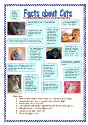 English Worksheet: Facts about cats (31.07.08)