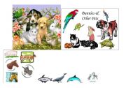 English worksheet: animals