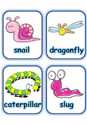 English Worksheet:  FLASHCARD SET 7- OTHER CREATURES - PART 2 OF 2 (1.08.2008)