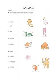 English worksheet: ANIMALS