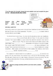 English Worksheet: Vocabulary