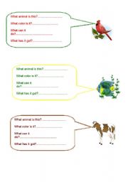 English Worksheet: Answer the questions about the animals