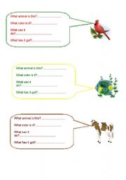 English worksheet: Answer the questions about the animals