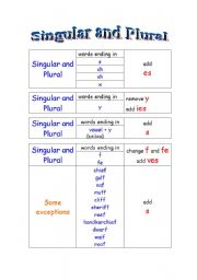 English Worksheet: Singular and Plural