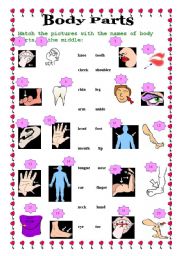 English Worksheet: Body Parts