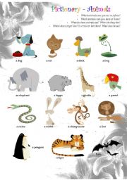 English Worksheet: Pictionary - Animals
