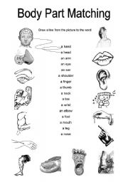 English Worksheet: Body Part Matching