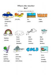 English Worksheet: what is the weather like?