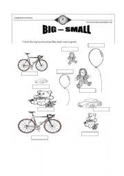 English Worksheet: big small