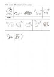 English worksheet: Names of the Animals