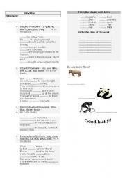 English Worksheet: Review