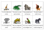 English Worksheet: African Animals