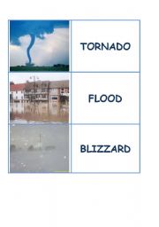 English Worksheet: natural disasters