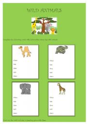 English Worksheet: Wild Animals