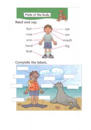 English Worksheet: body parts