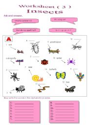 English Worksheet: Vocabulary game 3