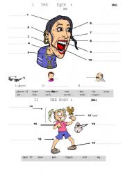 English Worksheet: The body