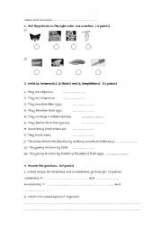 English worksheet: Anima reproduction