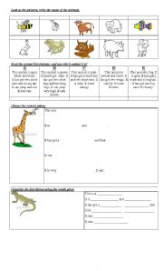 English Worksheet: ANIMAL DESCRIPTION