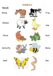 English Worksheet: animals