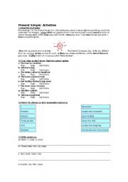 Present Simple acivities