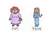 Opposites Fat - thin flashcard