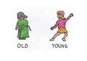 English Worksheet: Opposites: Old - young flashcard