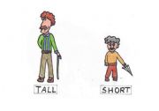 English Worksheet: opposites: tall - short flashcard