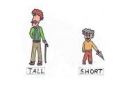 English worksheet: opposites: tall - short flashcard