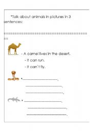 English worksheet: animals