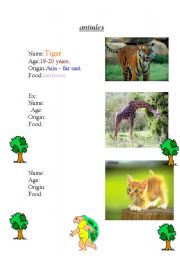 English Worksheet: reading
