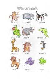 Wild animals picture dictionary