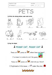 English Worksheet: Pets