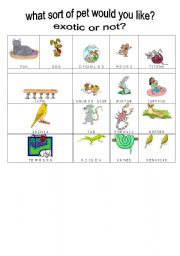 English Worksheet: What sort of pet do would you like?